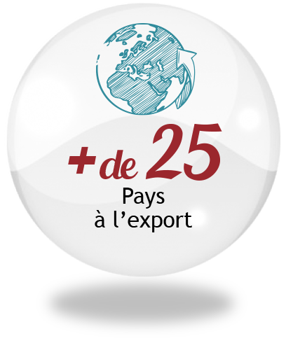 cercle verso 3d représantant la terre