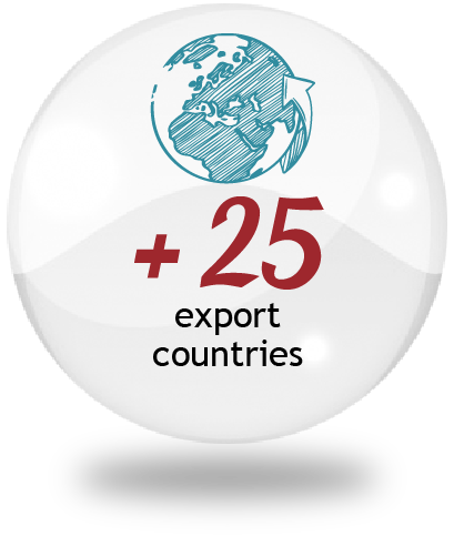 cercle verso 3d représantant la terre