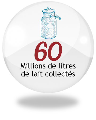 cercle verso 3d représantant du lait